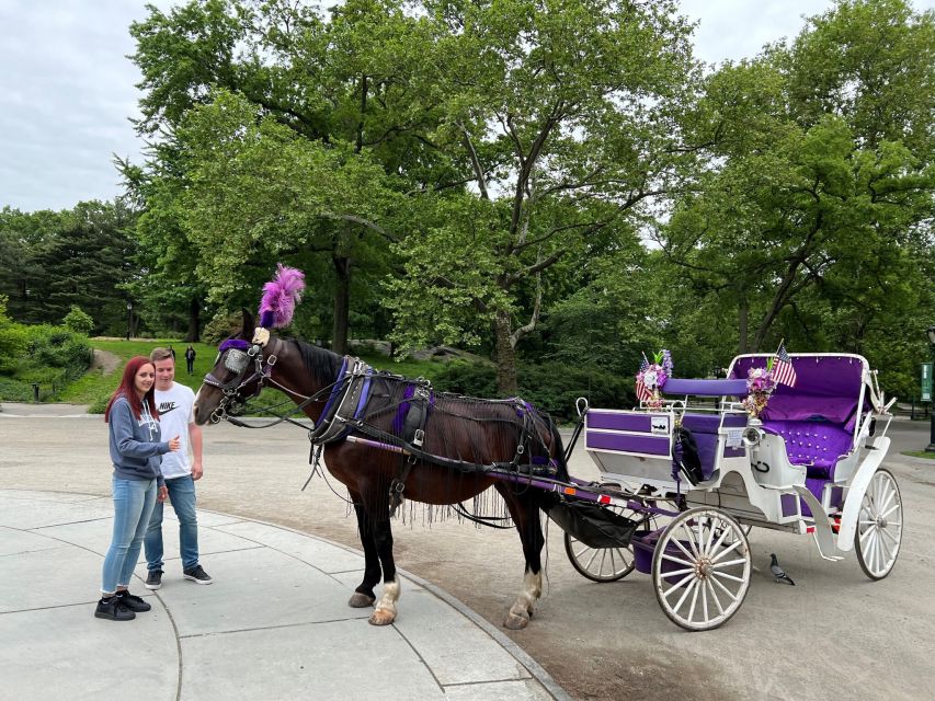 NYC: Private Central Park Horse Carriage Ride with Guide - Key highlights to look for