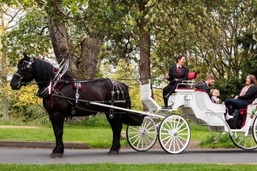 NYC: Private Central Park Horse Carriage Ride with Guide - From Central Park South to yesteryear: what this private carriage ride is really like