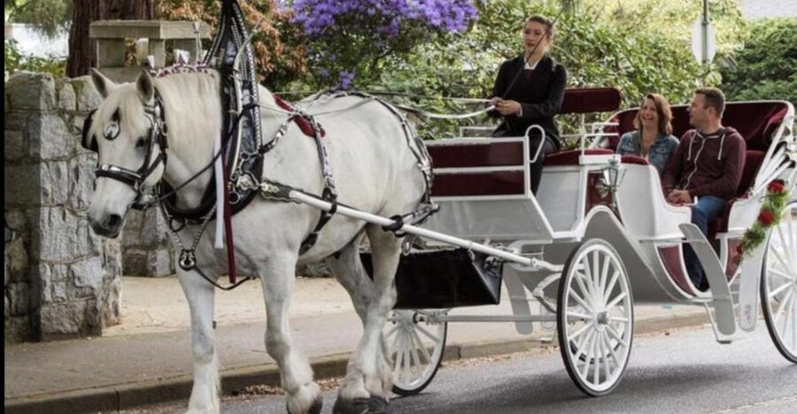 NYC: Private Central Park Horse Carriage Ride with Guide - FAQ