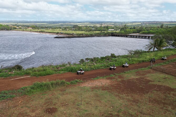 Oahu Beachfront ATV Adventure and Farm Tour - Planting the shoreline: choosing your species from 49 native options