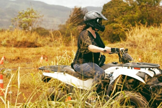 Oahu Beachfront ATV Adventure and Farm Tour - Farm animal time and Korean Natural Pig Farming soil work