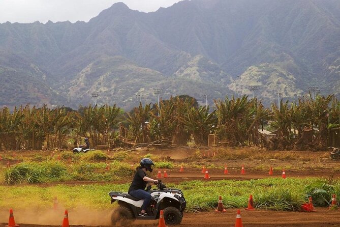Oahu Beachfront ATV Adventure and Farm Tour - Dust, mud, and speed expectations: how to avoid the common disappointments