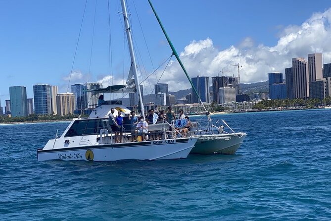 Oahu Catamaran Snorkel Tour: See Turtles 100% Guaranteed - Price and value compared with other Oahu snorkeling options