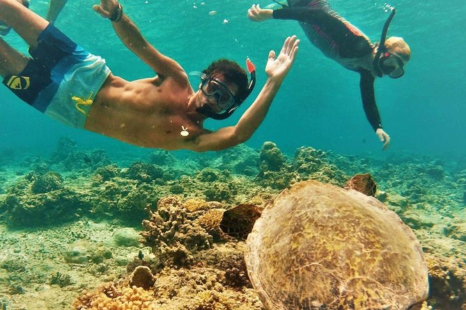 Oahu Circle Island Tour with Turtle Snorkeling- Small-Groups - Getting From Waikiki: The 7:20am Pickup and the Small-Group Feel