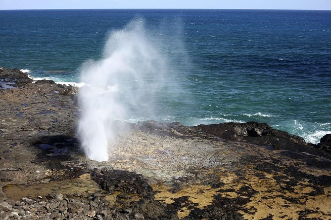 Oahu Circle Island Tour with Waimea Waterfall - Halona Blowhole and the Windward coastline: ocean power on display