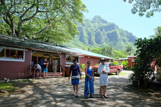 Oahu Circle Island Tour with Waimea Waterfall - Nu’uanu Pali Lookout and the Ko’olau drive, with photo-friendly wind