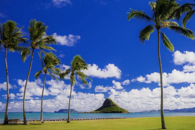 Oahu Circle Island Tour with Waimea Waterfall - Waimea Valley and the waterfall swim walk: the day’s main payoff