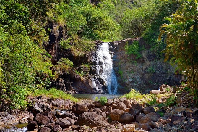 Oahu Deluxe Grand Circle Island Tour - Key things that make this Oahu tour worth considering