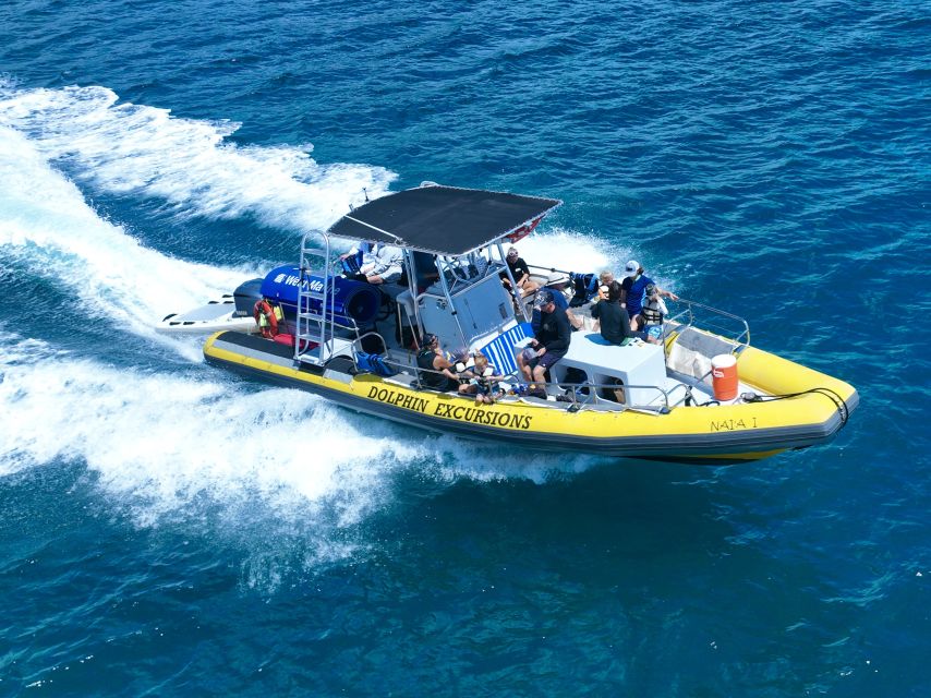 Oahu: Dolphin Swim and Turtle Snorkel Excursion in Waianae - Who this excursion fits best, and who should skip it