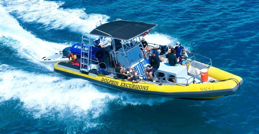 Oahu: Dolphin Swim and Turtle Snorkel Excursion in Waianae - Why Waianae is a smart base for dolphins, whales, and turtles