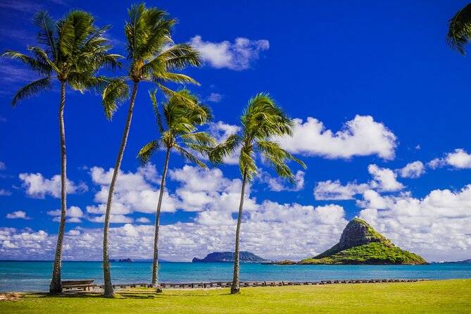Oahu Grand Circle Island and Haleiwa Tour: 9-Hr Deluxe Experience - Nu’uanu Pali Viewpoint: Big Koolau Views and a Battle Site Story