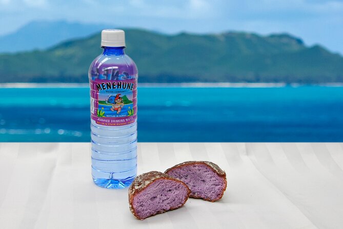 Oahu Grand Circle Island and Haleiwa Tour: 9-Hr Deluxe Experience - Haleiwa Lunch and Shopping: Your Most Flexible Block