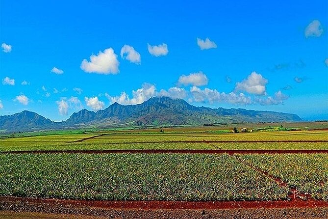Oahu Grand Circle Island Experience from Waikiki - Kualoa Regional Park and Chinaman’s Hat Photos