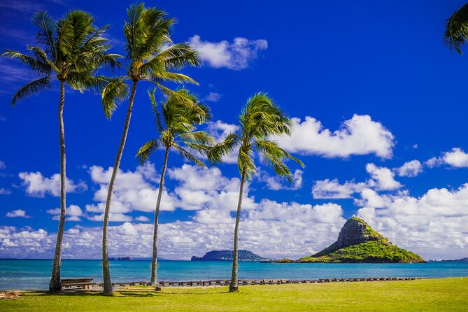 Oahu: Grand Tour Around Island 16 Locations plus Snorkeling - Kahuku Farms, Waimea Bay, Haleiwa: Surf, Fruit, and “Show Me”
