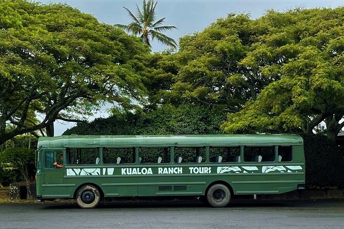 Oahu: Kualoa Ranch Movie Sites and Ranch Tour - Kaneohe Bay Views and the Ko’olau Backdrop You Came For