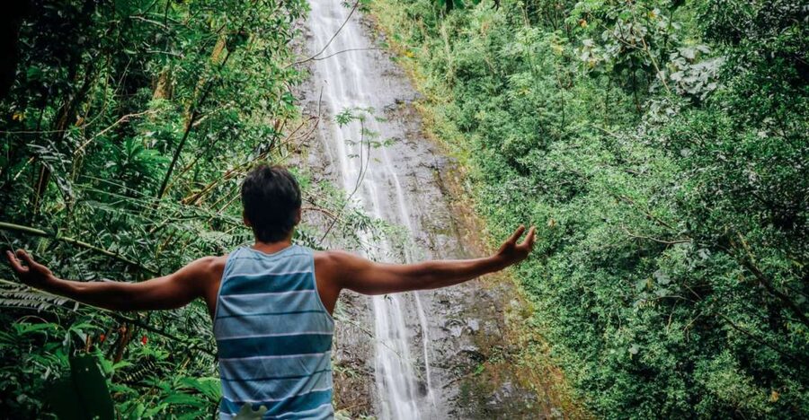 Oahu: Manoa Falls Waterfall Hike with Lunch and Transfers - Key things to know before you go