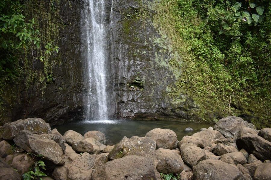 Oahu: Manoa Falls Waterfall Hike with Lunch and Transfers - Price and Value: Why $119 Can Feel Fair