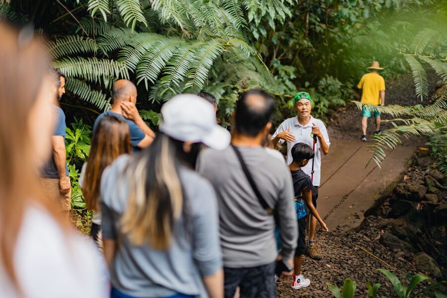 Oahu: Manoa Falls Waterfall Hike with Lunch and Transfers - Tantalus Lookout Lunch: Diamond Head Views That Make the Hike Worth It