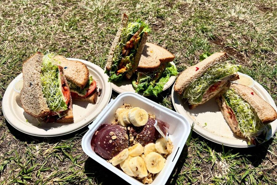 Oahu: Manoa Falls Waterfall Hike with Lunch and Transfers - Getting From Waikiki to Manoa Without Wasting Your Day