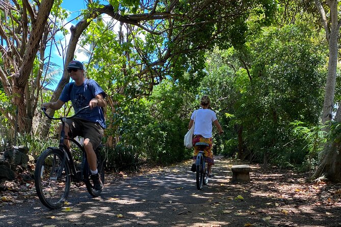 Oahu North Shore Experience: Activities, Waterfall & Free Time - Tropical Farms quick stop: coffee and macadamia tastings without eating up your day