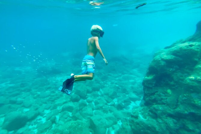 Oahu North Shore Experience: Activities, Waterfall & Free Time - Waimea Bay and Waimea Valley area: your big activity choice block