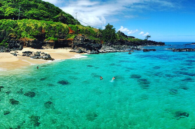 Oahu North Shore Experience: Activities, Waterfall & Free Time - Waimea Botanical Gardens and the waterfall swim: where crowd reality meets the payoff