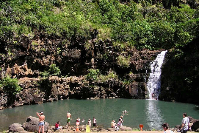 Oahu North Shore Experience: Activities, Waterfall & Free Time - Pickup and ride time: how you actually get value out of the morning