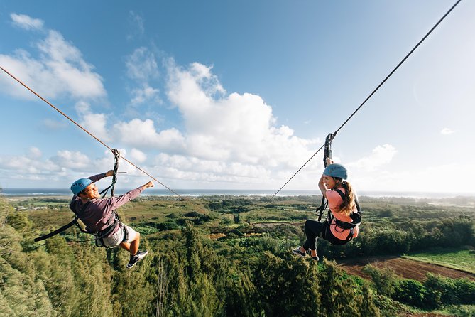 Oahu's North Shore: 8-Line Zipline Adventure - Price and Value: Why It Feels Fair at About $203