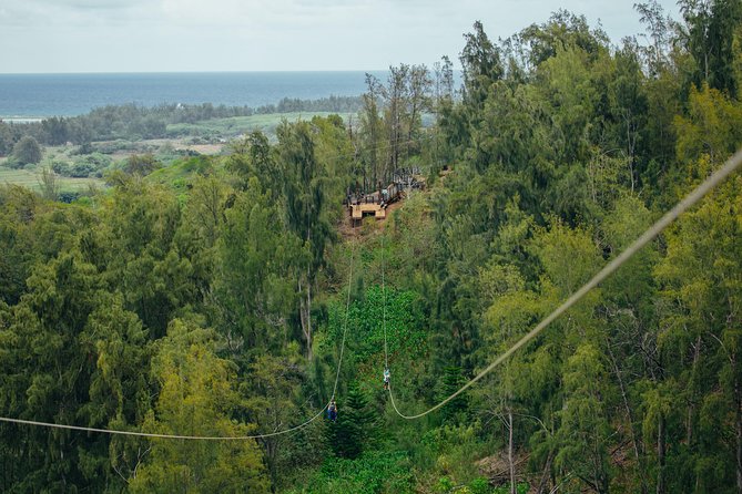 Oahu's North Shore: 8-Line Zipline Adventure - Timing in 2 Hours 30 Minutes: How to Make It Smooth
