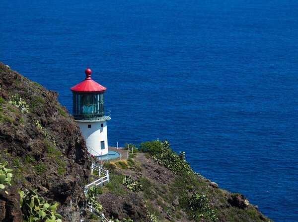 Oahu's Stunning Views: Half-Day Scenic Tour with 7 Lookouts - Key Things You’ll Notice Right Away