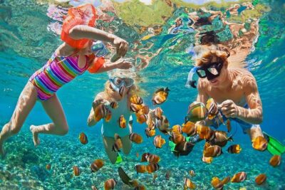 Oahu’s Ultimate Tour: Dole, Turtle Snorkel, Pali Lookout & More