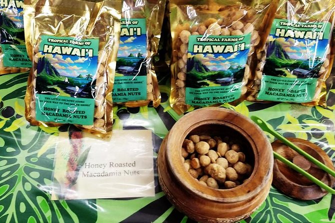 Oahu's Ultimate Tour: Dole, Turtle Snorkel, Pali Lookout & More - Haleiwa Alii Beach Park turtle snorkeling: what to expect when the beach is rocky