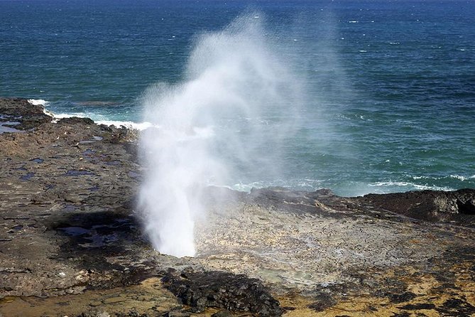 Oahu's Ultimate Tour: Dole, Turtle Snorkel, Pali Lookout & More - Price and value: is $108 reasonable for a packed island day?