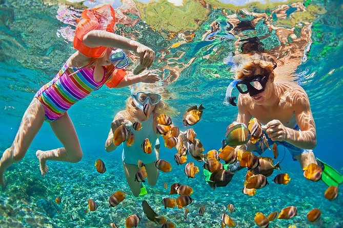 Oahu's Ultimate Tour: Dole, Turtle Snorkel, Pali Lookout & More - Eternity Beach and Halona Blowhole: short stops with big payoff