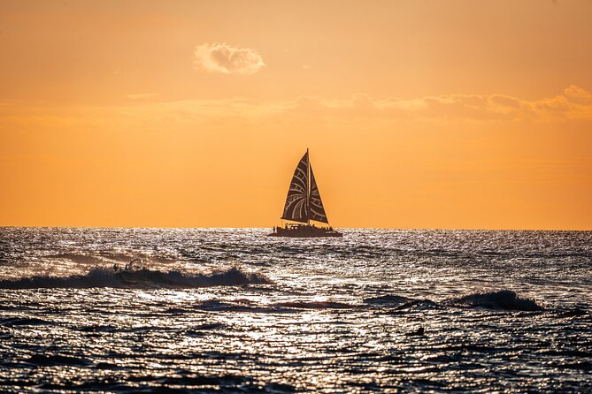 Oahu's Waikiki Coast: Moana’s Sunset Cocktail Sail - Wildlife: dolphins any time, humpbacks in season
