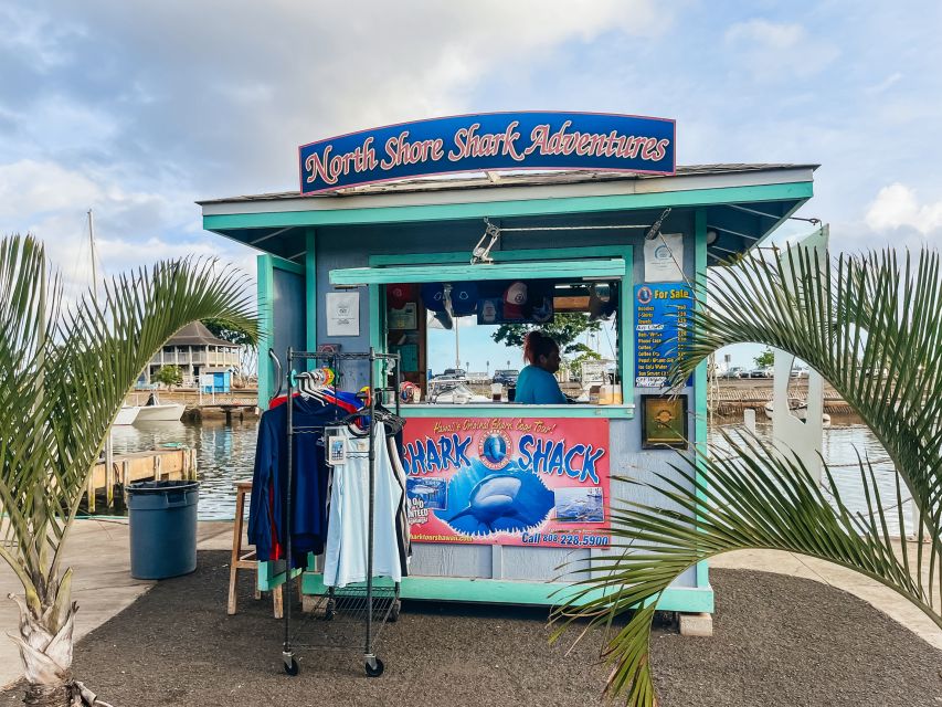 Oahu: Shark Cage Dive on the North Shore - Shark Cage Rules: Why You Don’t Need to Be a Strong Swimmer
