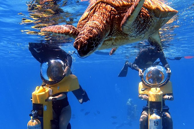 Oahu: Submarine Scooter Adventure - Key things to know before you go