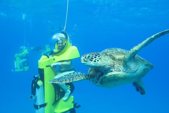 Oahu: Submarine Scooter Adventure - Your Underwater Scooter Session: Turtles, Fish, and Real-Time Coaching