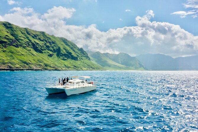 Oahu: Swim with Dolphins on the West Coast - Why the West Coast of Oahu is a smart place to chase dolphins