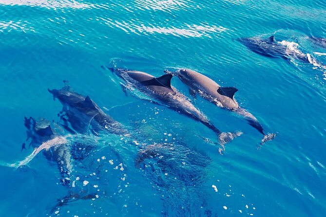 Oahu: Swim with Dolphins on the West Coast - The catamaran ride and that first view off the Waianae Mountain Range