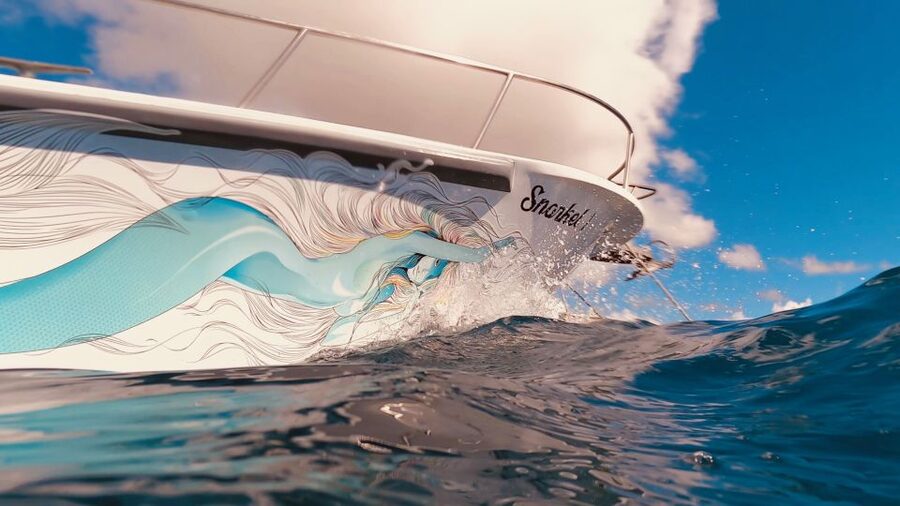 Oahu: Turtle Canyon Snorkeling Boat Tour - Photo package option, and whether it’s worth it