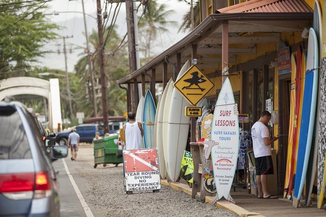 Oahu Ultimate Circle Island Tour Full Day Experience - Turtle snorkeling on the North Shore: 1 hour, real water time