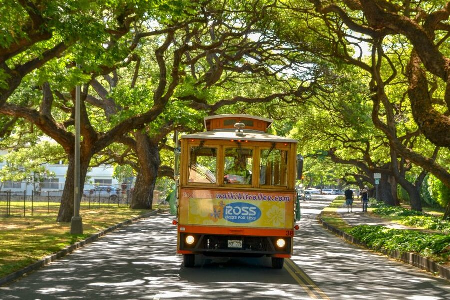 Oahu: Waikiki Trolley Hop-on Hop-off All-Line Pass - What the ride is like: guides, atmosphere, and getting comfortable