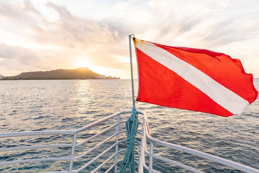 Oahu: Waikiki Turtle Canyons Cruise and Snorkel Excursion - Key things I’d circle before you book