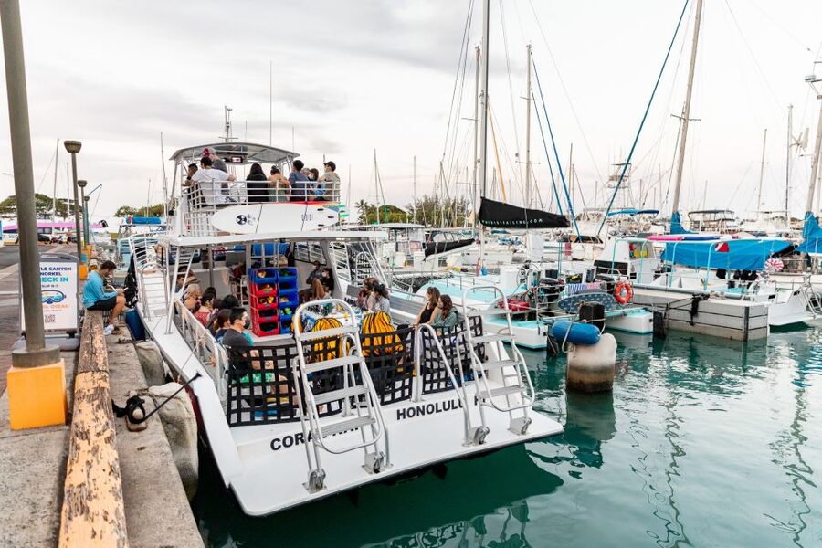 Oahu: Waikiki Turtle Canyons Cruise and Snorkel Excursion - Safety on the water: certified lifeguards and real support