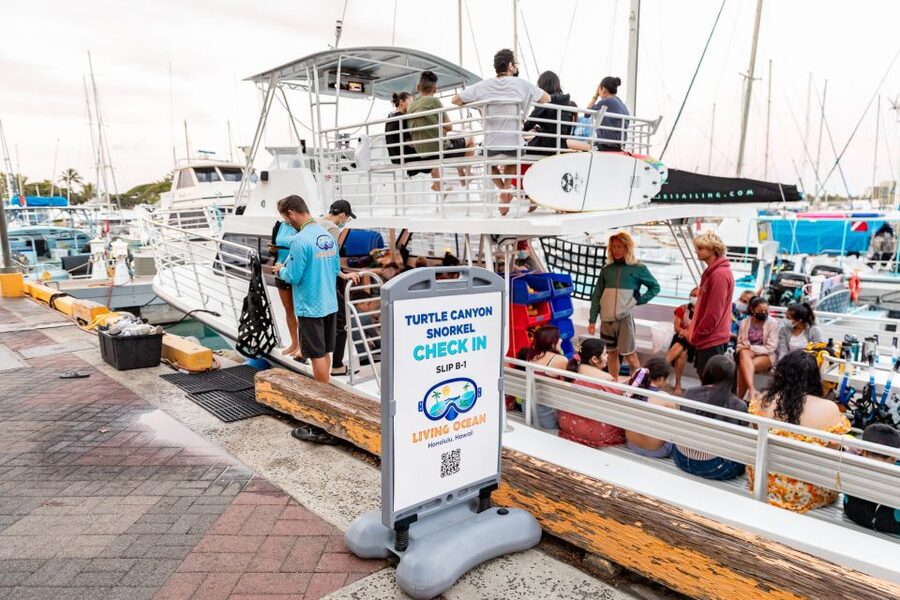 Oahu: Waikiki Turtle Canyons Cruise and Snorkel Excursion - Motion sickness and breathing tips that can save your day