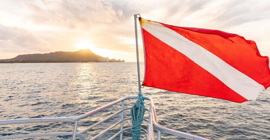 Oahu: Waikiki Turtle Canyons Cruise and Snorkel Excursion - The 15-minute Waikiki cruise: marine life viewing with a real chance
