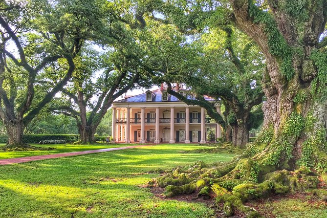 Oak Alley Plantation Tour with Transportation from New Orleans - The Oak Alley Walk: That 28-Tree Promenade Is the Main Character