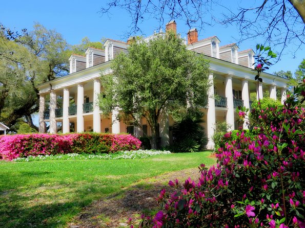 Oak Alley Plantation Tour with Transportation from New Orleans - The Bus Ride Adds Context: Lagoon Views, a Spillway Stop, and Plantation-Adjacent History