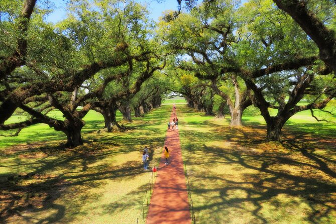 Oak Alley Plantation Tour with Transportation from New Orleans - The Optional 90-Minute Swamp Tour: Bayou Time Worth the Extra Cost
